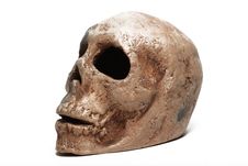 Human Skull Royalty Free Stock Images Human Skull Royalty Free Stock Images