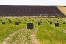 Wheat Field, Harvest. Royalty Free Stock Photo Wheat Field, Harvest. Royalty Free Stock Photo