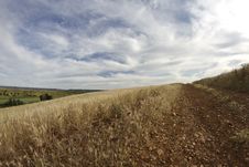 Wheat Field, Harvest Royalty Free Stock Photos Wheat Field, Harvest Royalty Free Stock Photos