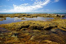 Pool Of Water On A Rock Cliff Stock Photo Pool Of Water On A Rock Cliff Stock Photo