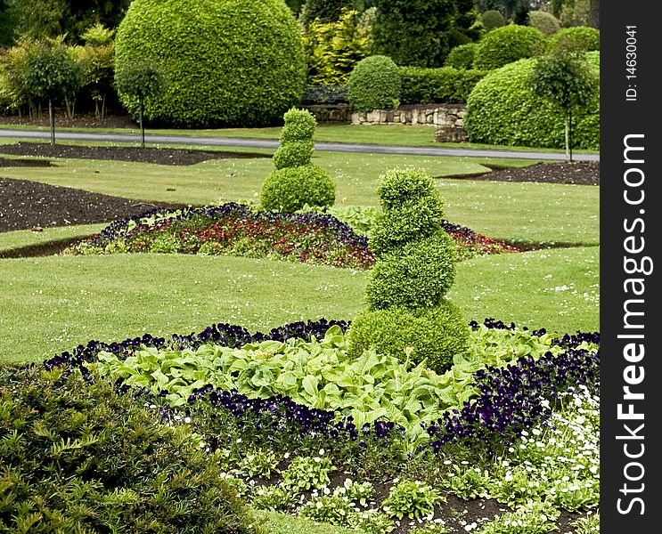 Sculpted shrubs in an English garden surrounded by flower beds