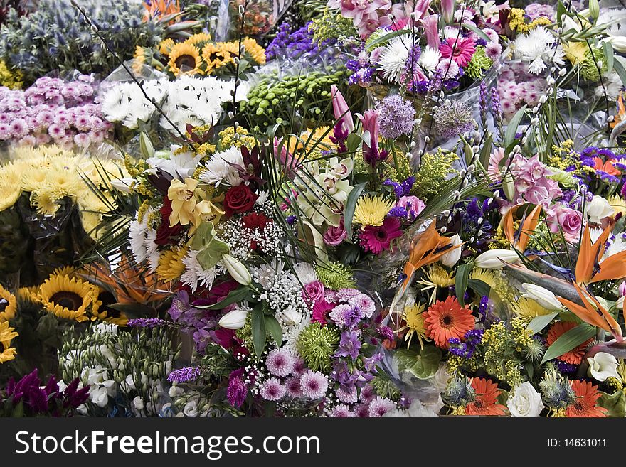 A background of a very colorful flower stall with different types of blooms. A background of a very colorful flower stall with different types of blooms