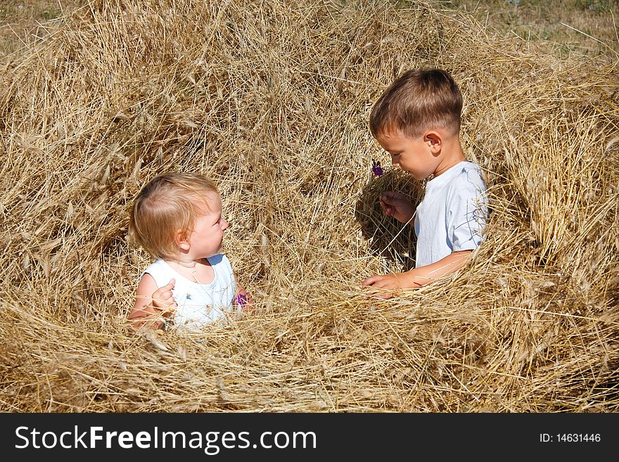 Two Kids In Hay