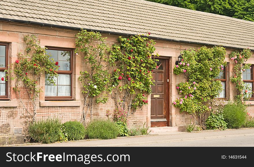 Cottage with roses round the door.