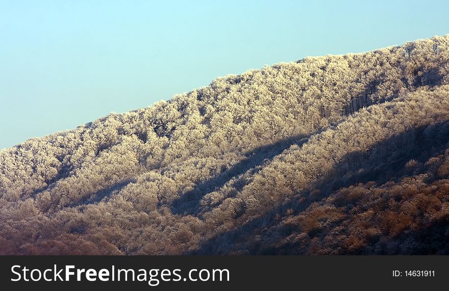 Cold winter morning landscape of frosted forest