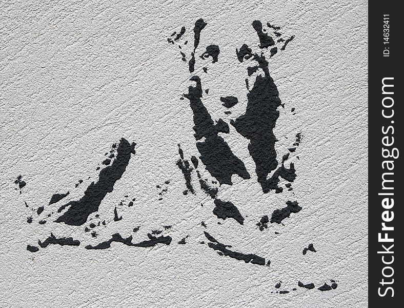 Contrast portrait dog placed on decorative plaster. Picture I have created myself . Contrast portrait dog placed on decorative plaster. Picture I have created myself .
