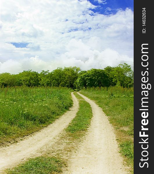 Road in forest 2. horizontal