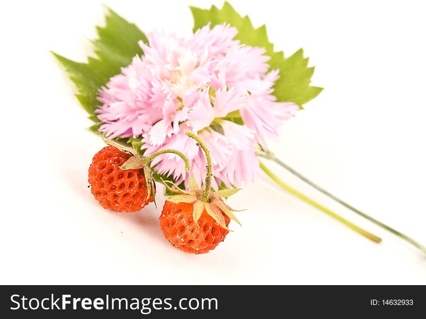 Fresh and tasty strawberries isolated on white background