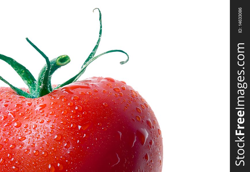 Wet tomato isolated on white background. Wet tomato isolated on white background.