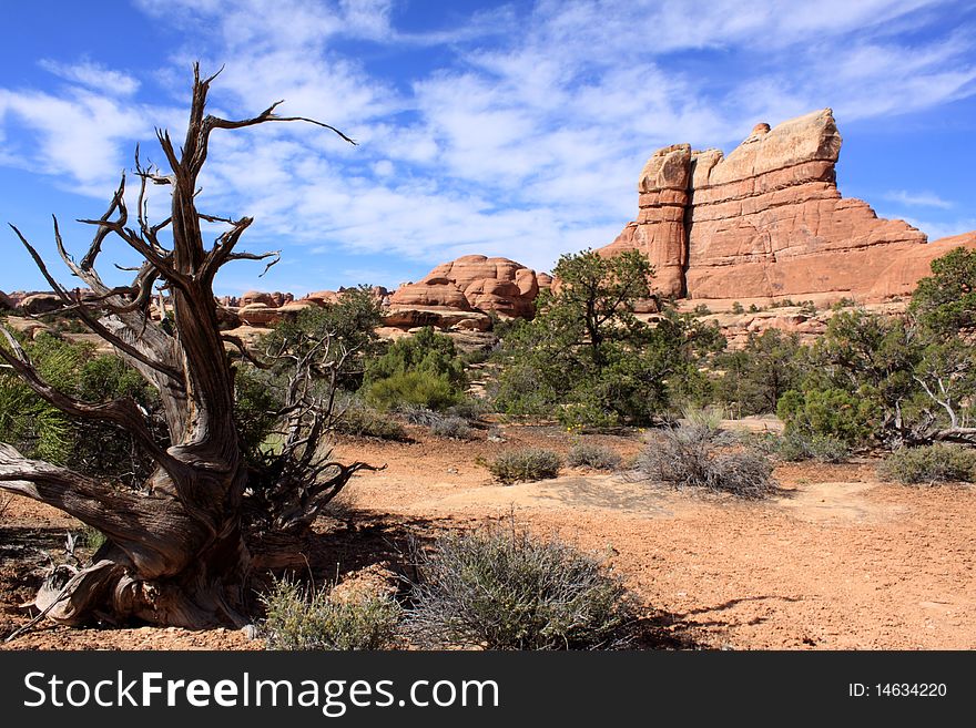 Canyon Lands National Park Needles District