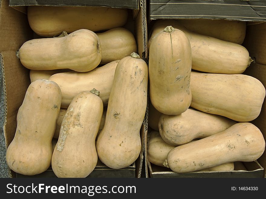 Large butternut squashes in cardboard boxes