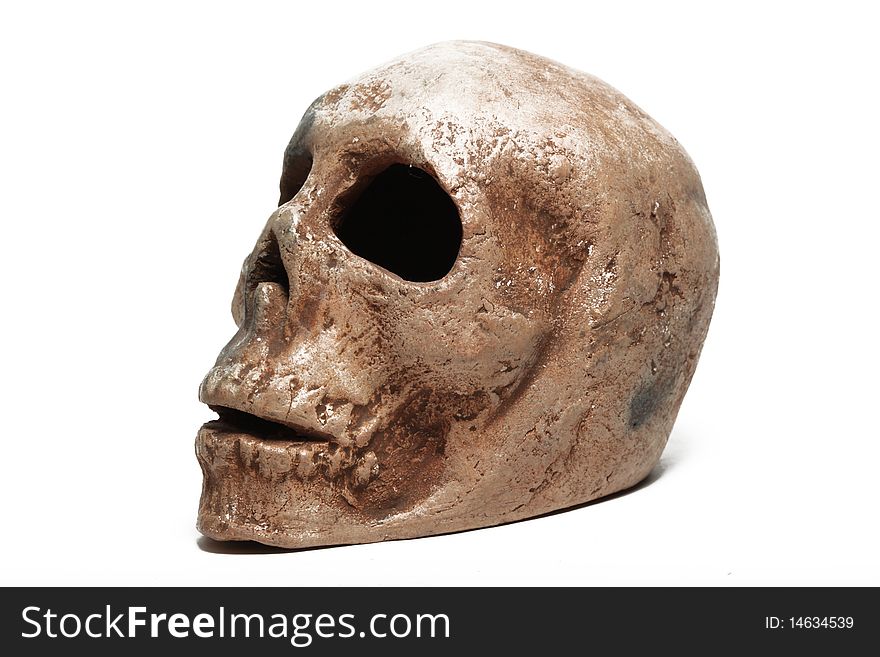 Human Skull