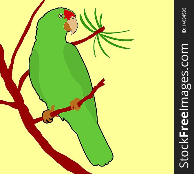 Vector red crowned amazon parrot