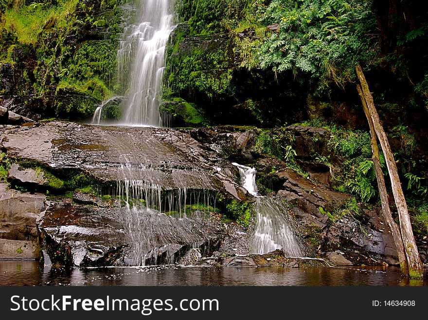 Waterfall with a pool and rocks in lush green vegetation