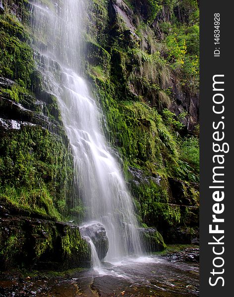 Waterfall on a background of lush green vegetation