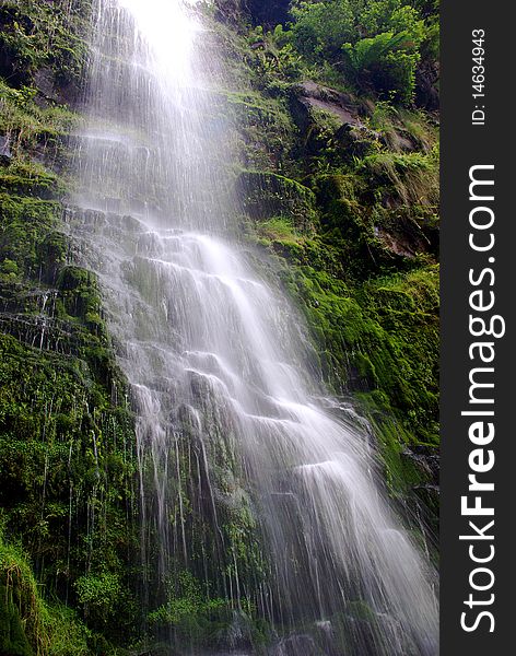 Waterfall on a background of lush green vegetation