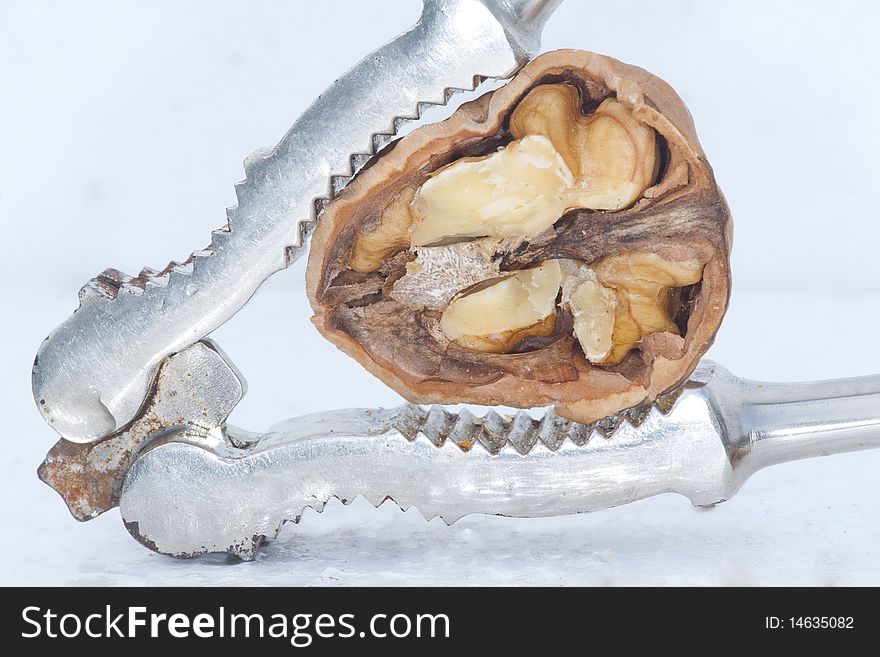 Bit rusty metal nutcracker cracking a walnut on a white background. Bit rusty metal nutcracker cracking a walnut on a white background