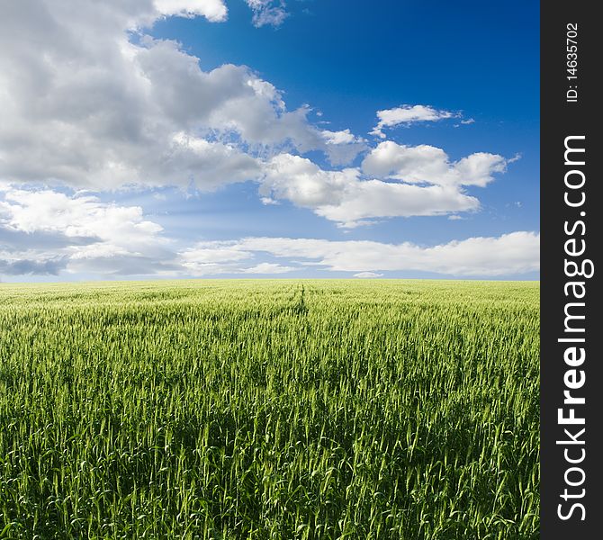 Field and sky