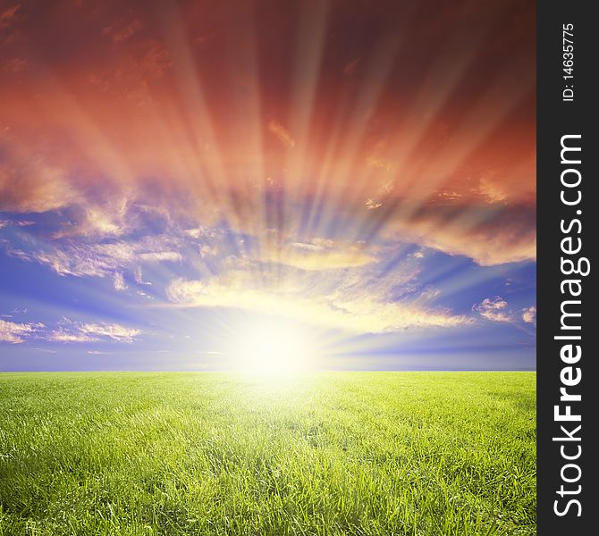 Green field, blue sky, white cloud. Green field, blue sky, white cloud