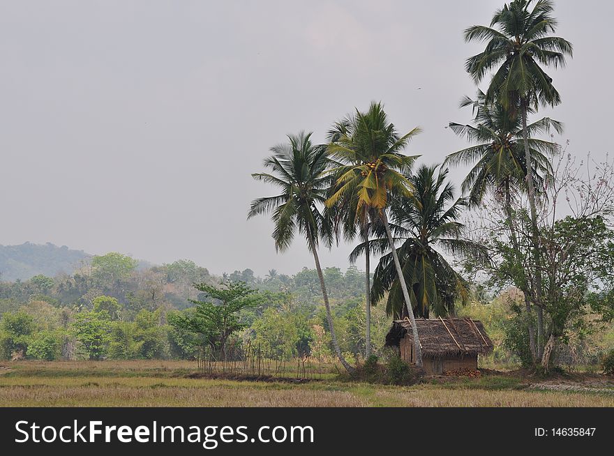 Traditional farm hut in a Sri Lankan Village