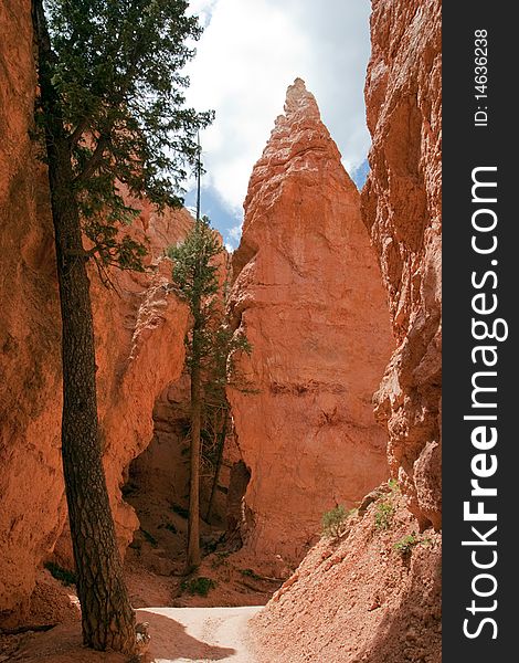 Hiking near the bottom of the Navaho Loop, Bryce National Park. Hiking near the bottom of the Navaho Loop, Bryce National Park