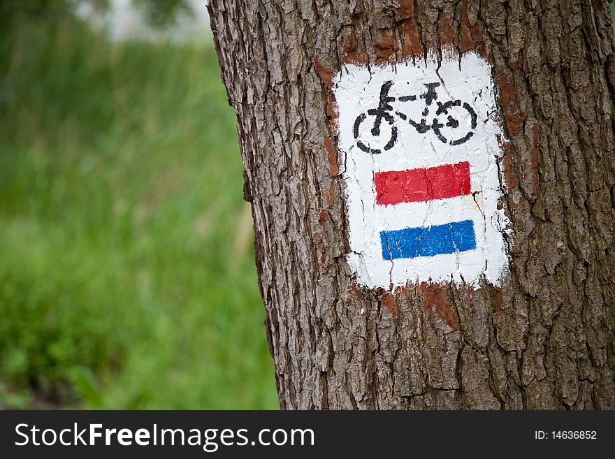 Bicycle road sign in forest