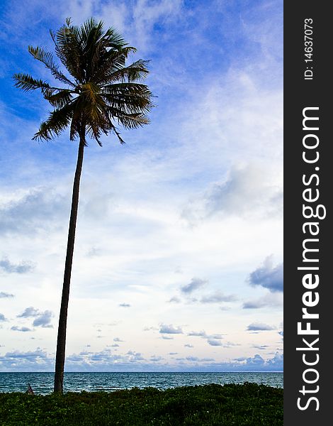 View of beach in east of Thailand. View of beach in east of Thailand