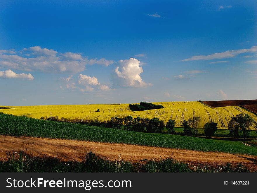 Crops Under The Blue Sky