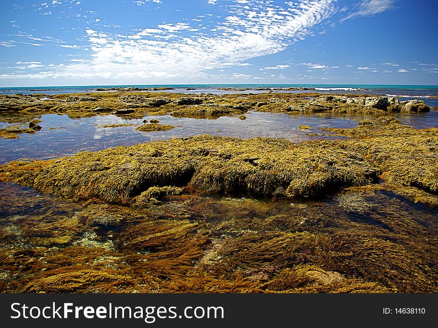 Shallow Pool Of Water On A Rock Cliff, Great Ocean Road, Australia