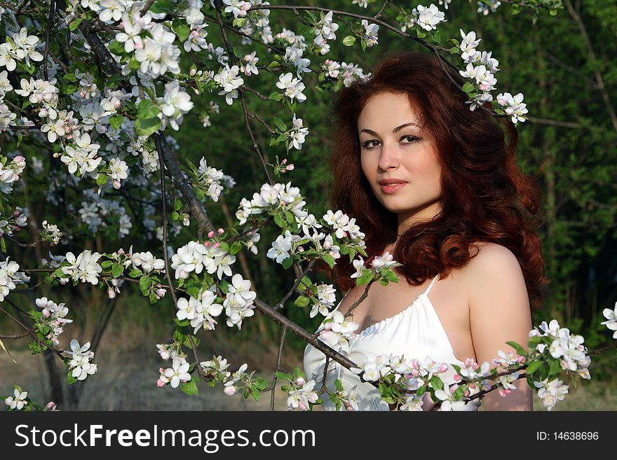 A smiling girl in apple-tree blossom. A smiling girl in apple-tree blossom