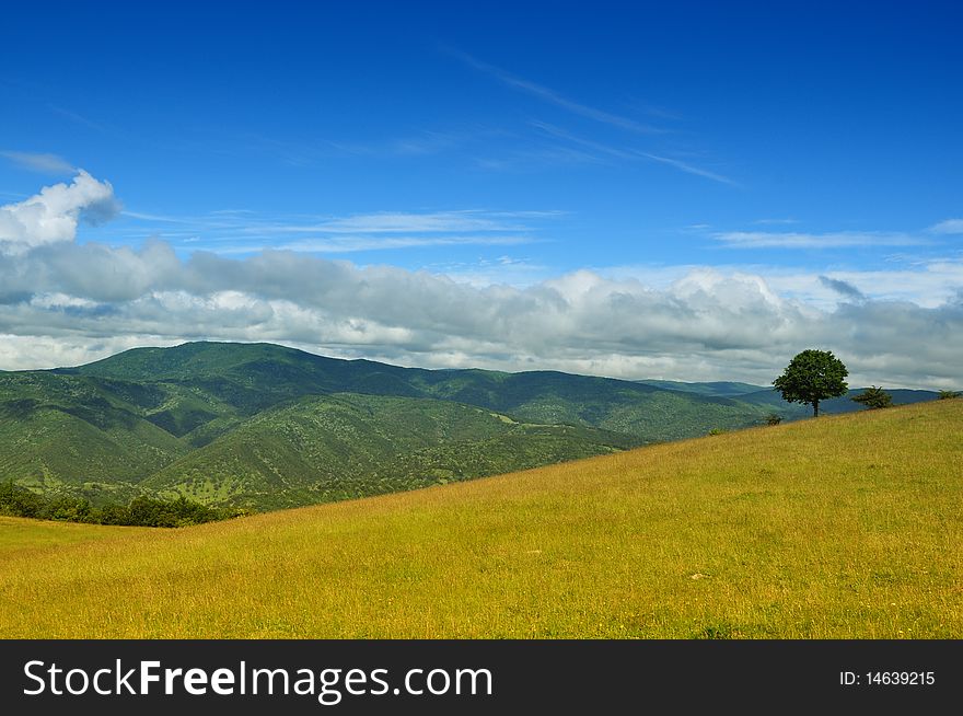 Landscape before the fresh summer rain. Landscape before the fresh summer rain