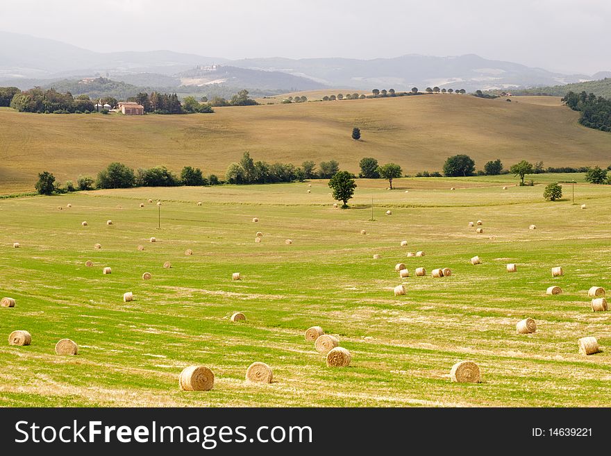 Hay bales in the Tuscan hills. Hay bales in the Tuscan hills