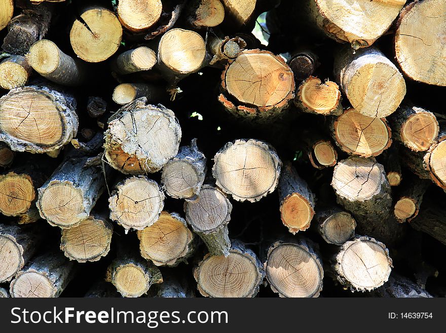 Stack firewood. Wood under the sun