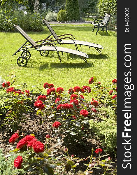 Deck chair in a green garden