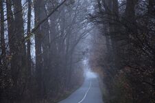 Empty Road In The Morning Passing Through A Forest Covered In Mist Or Fog Stock Photo Empty Road In The Morning Passing Through A Forest Covered In Mist Or Fog Stock Photo