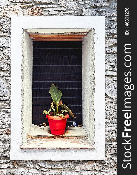 Flower Pots On The Window