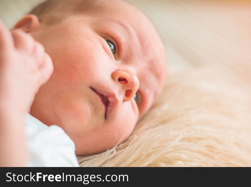 Cute newborn infant baby boy asleep wrapped in a soft  plaid. Love baby. Newborn baby and mother.