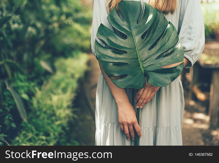 Figure of the girl and leaf monstera close-up, interior of the greenhouse. Ecological, healthy lifestyle concept. Figure of the girl and leaf monstera close-up, interior of the greenhouse. Ecological, healthy lifestyle concept