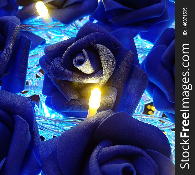 Blue Rose lights display