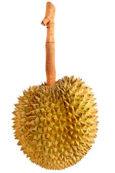Durian, King Of Tropical Fruit Stock Photo Durian, King Of Tropical Fruit Stock Photo