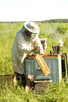 The Beekeeper Works Stock Photos The Beekeeper Works Stock Photos