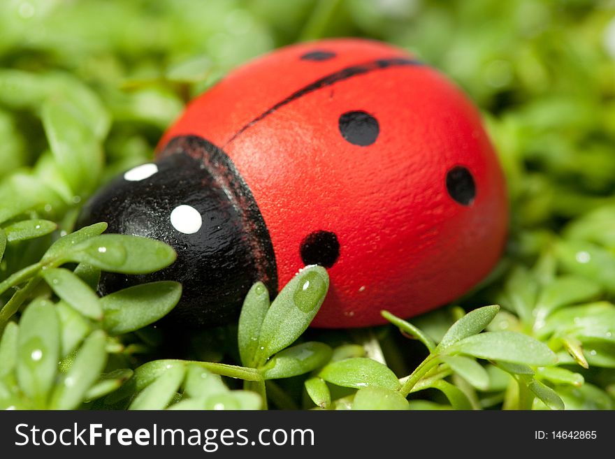 Toy ladybug on the grass