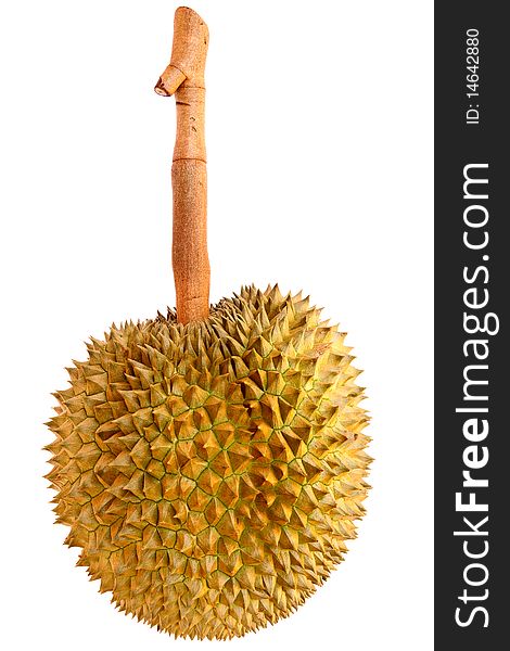 Durian, King Of Tropical Fruit