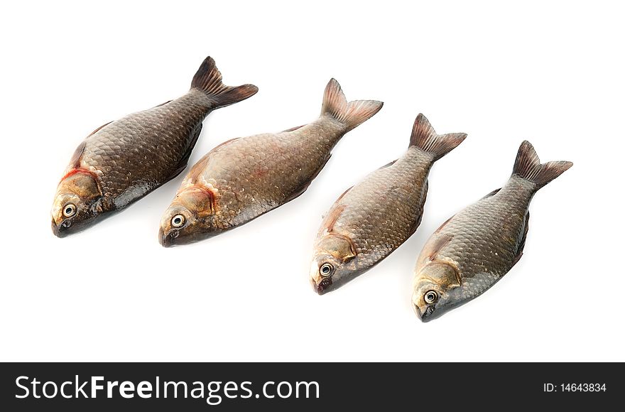 Raw fishes isolated on a white background