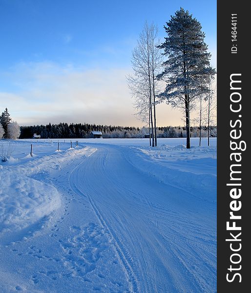 Road through a chilly winter landscape. Road through a chilly winter landscape