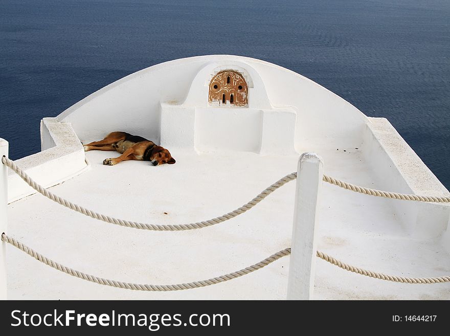 Dog is on holiday, Santorini