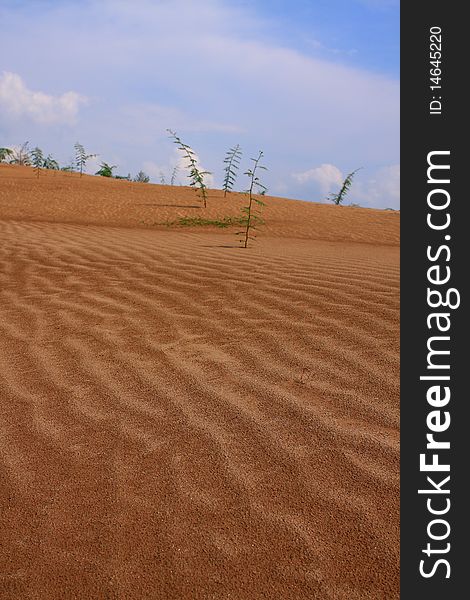 The beautiful sand dune in Vietnam