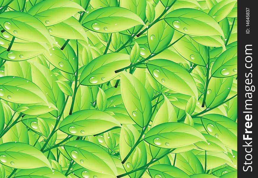 Beautiful green foliage ornament pattern, illustration