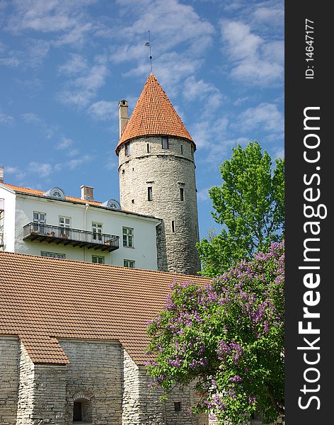 Medieval defensive tower in Tallinn old town. Work on the town's defenses first began in 1265. Current outline of the defensive wall with towers dates to the 14th century.