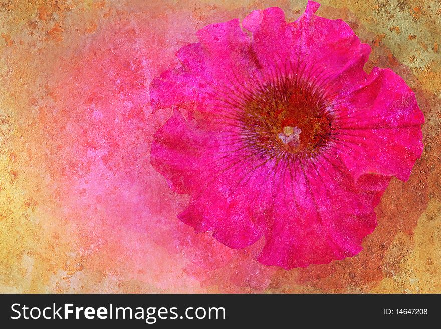 Vintage stylized bloom of petunia with patina texture. Vintage stylized bloom of petunia with patina texture